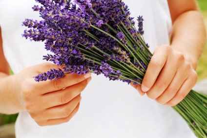 Bodas lilas (lavanda)