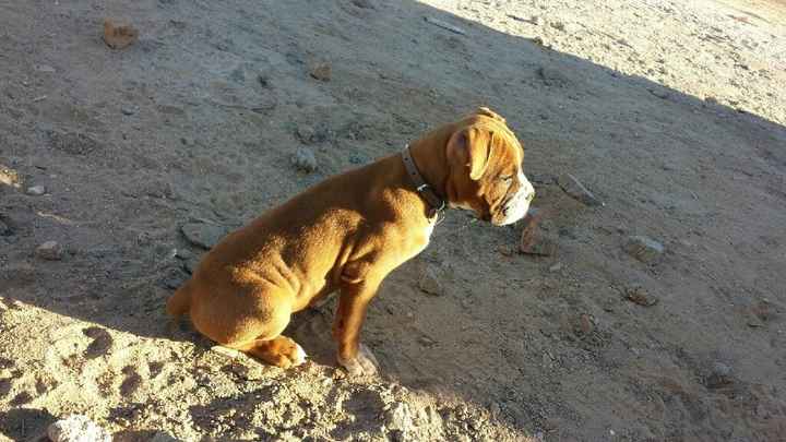 Mi felicidad incompleta :( - 1