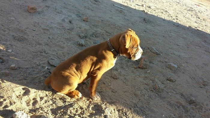 Mi felicidad incompleta :( - 1