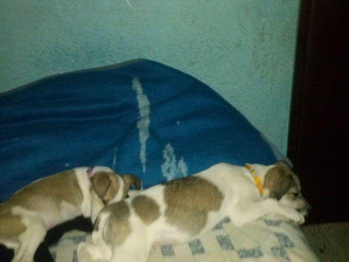 Cansados de entrenar