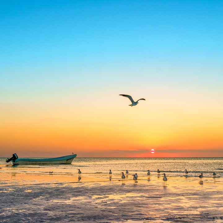 Nuestro primer atardecer juntos - 1
