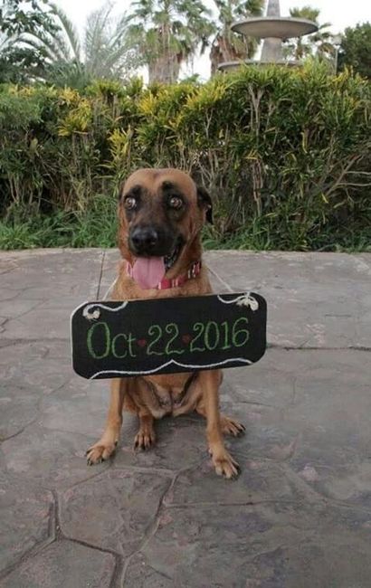 A 47 dias; nuestro save the date - 14