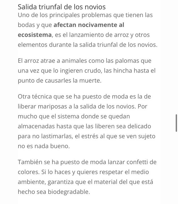 Salida de la boda (iglesia) 3