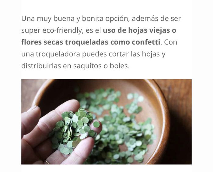 Salida de la boda (iglesia) 4