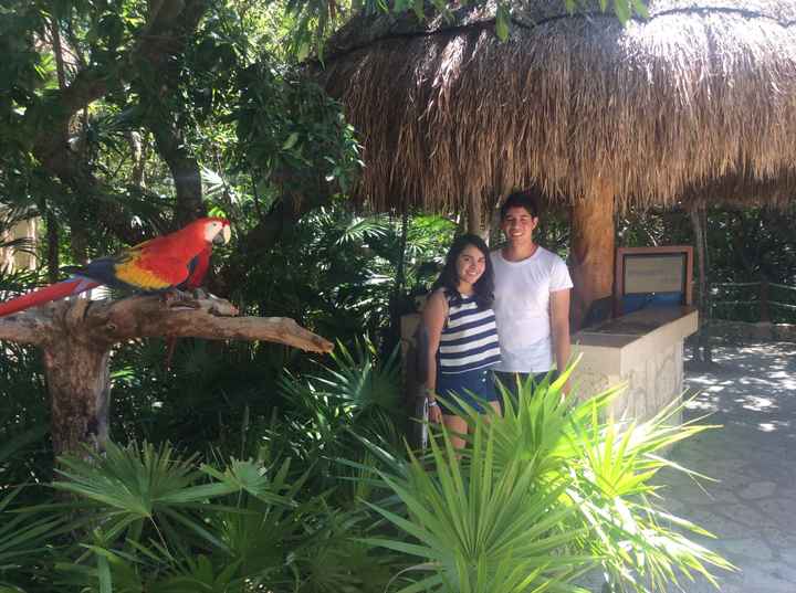 Mi agenda de boda - Monse - 2