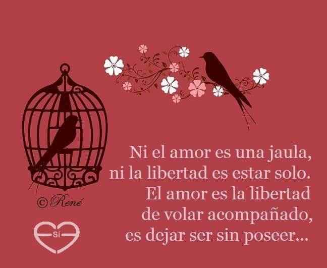 Ya no me quiero casar.... u.u - 1