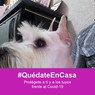 Eduardo