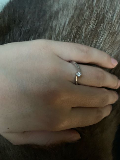 Muestra el anillo - 1