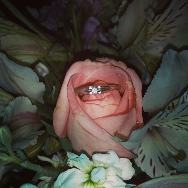 Muestrame tu anillo de compromiso !! - 1