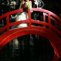 Ya me casé!!! - 7