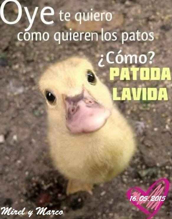 Imágenes para pegar en el baño