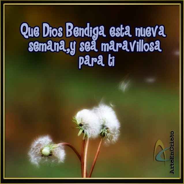 Linda semana 