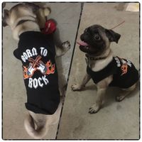 La foto de tu mascota! - 1