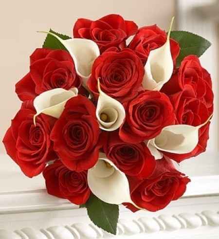 Rojo con blanco