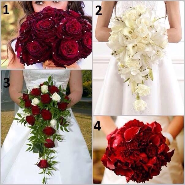 Club de la novia roja - 1