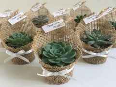 algo que pueda servir y crecer