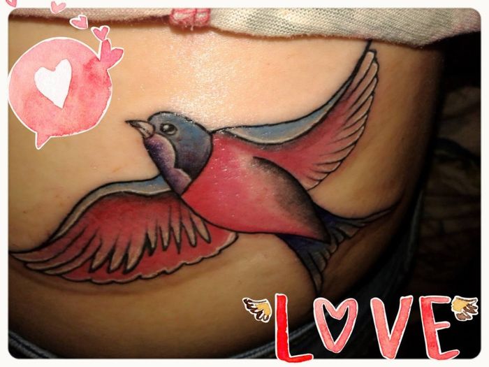 golondrina de la amistad