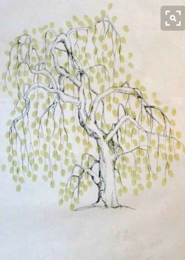 Libros de firmas de árbol - 6
