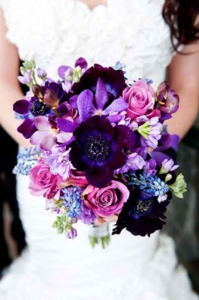 Ramo morado