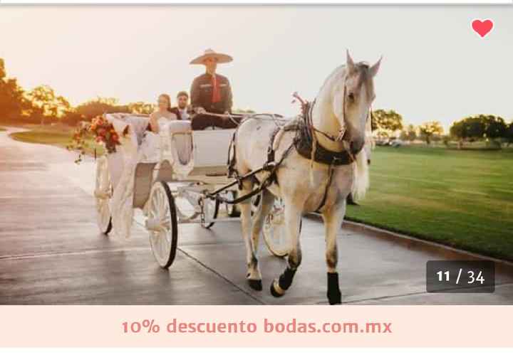 Que opinan opinen todasssss Ya escogi mi transporte.... - 1