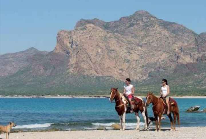 Luna de miel express - 1