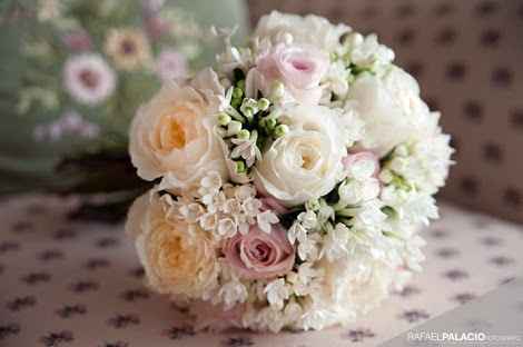 Chicas que flores usaran para su ramo - 1