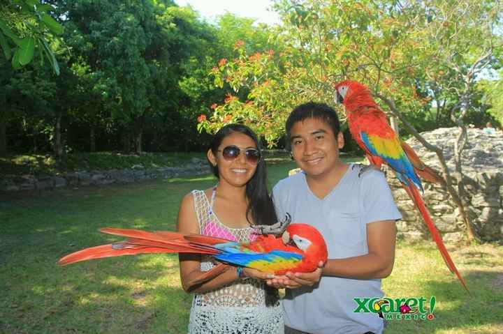 Nuestra luna de miel en la riviera maya.. - 1