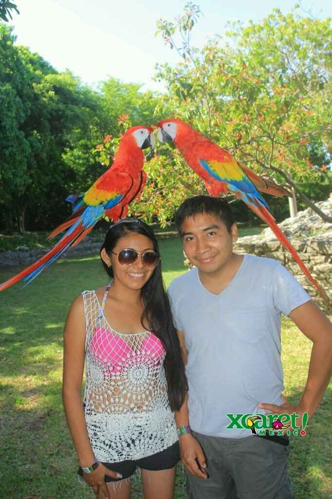 Nuestra luna de miel en la riviera maya.. - 4