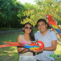 Nuestra luna de miel en la riviera maya.. - 1