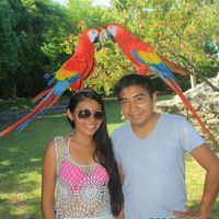 Nuestra luna de miel en la riviera maya.. - 4