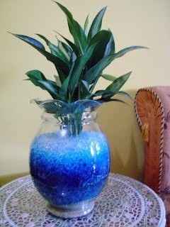 bolitas de hidrogel en color azul