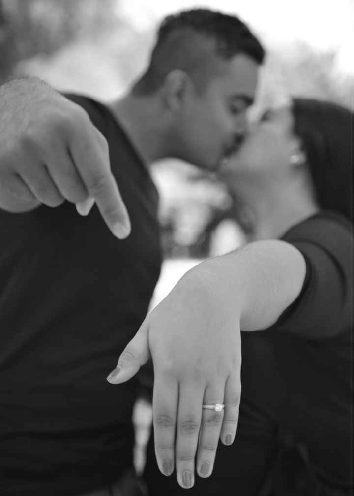 Fotos de save the day - 2