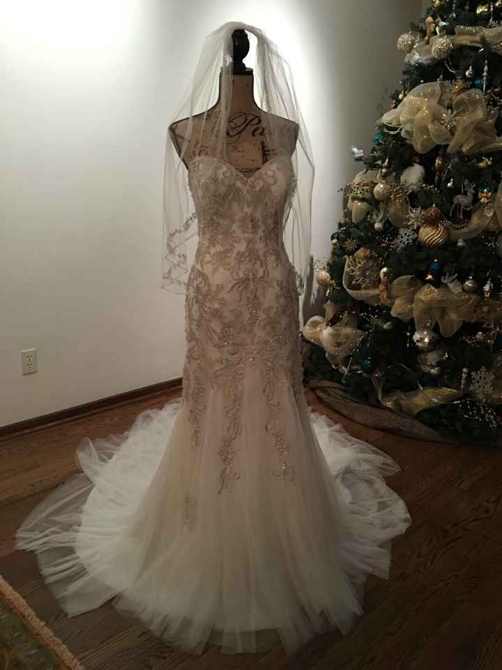 Ya tengo mi vestido - 1