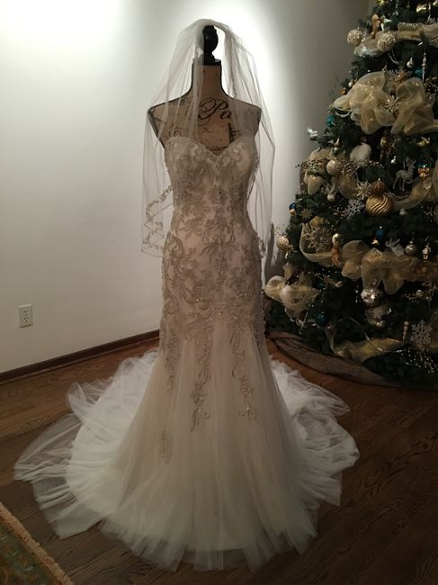 Ya tengo mi vestido - 1