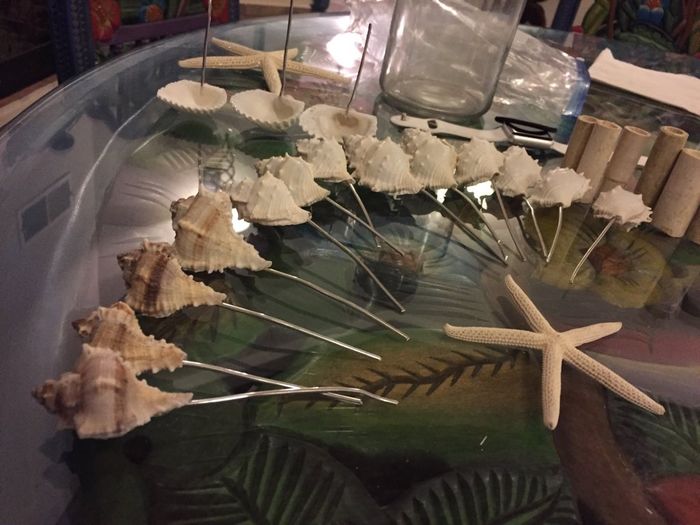 Ramo de las solteras - 1