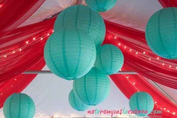 acqua coral inspiracion