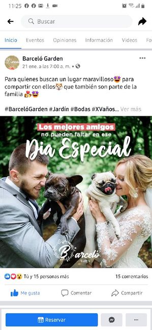 Locaciones Pet Friendly 1