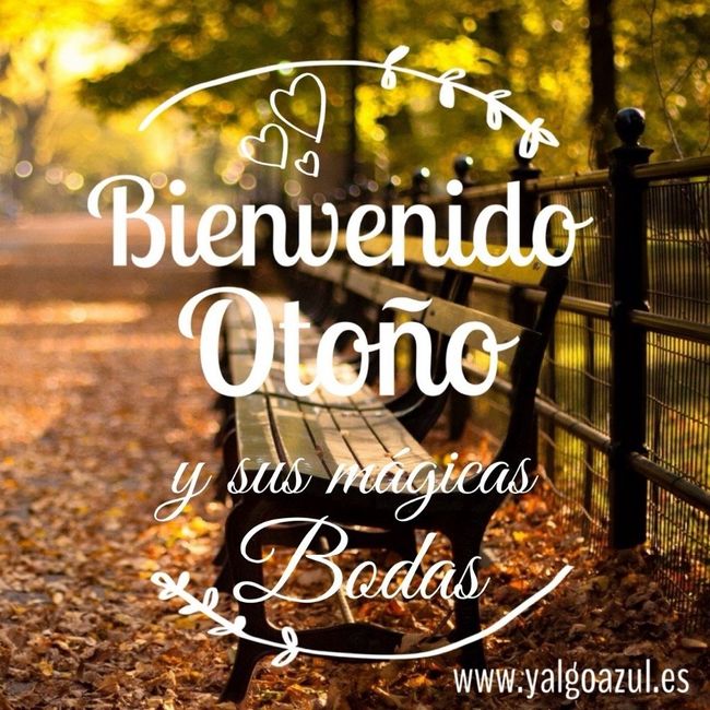 BODAS EN OTOÑO ! ! !