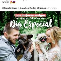 Locaciones Pet Friendly - 1