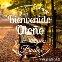 BODAS EN OTOÑO ! ! !