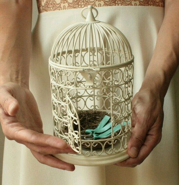 Como llegaran tus anillos al altar? - 1