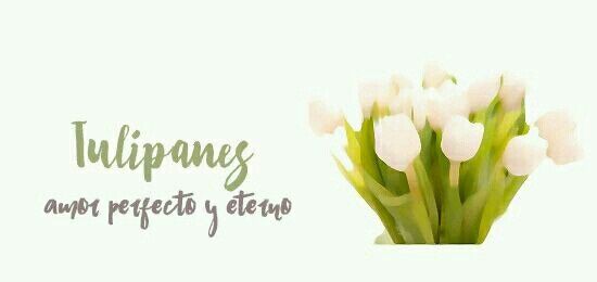 Flores y su significado - 3