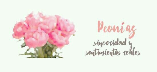 Flores y su significado - 4
