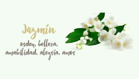 Flores y su significado - 5