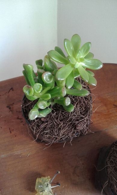 Mis centros de mesa - 2