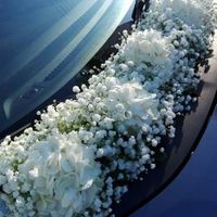 Decorar el auto con flores, ¿Sí o no? - 1