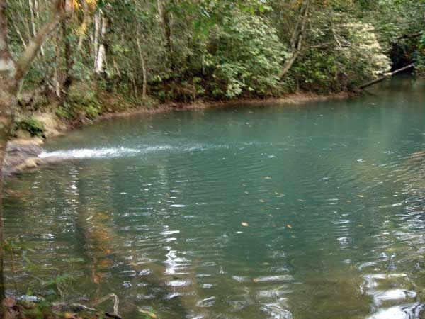 SELVA LACANDONA