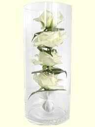 ROSAS