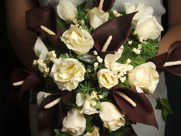 chocolate y marfil 
