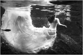 trash the dress